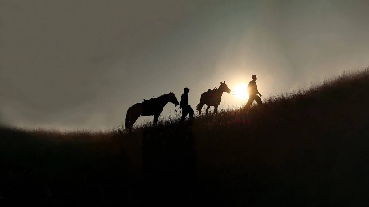 Gió Nổi Hàn Dương, Xuân Sơn Cảnh (A Winter Sun Wakes the Wind in Spring Hills' Dream)